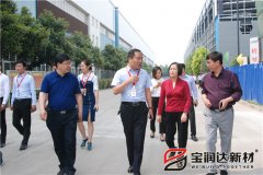 市長(zhǎng)張雪飛一行蒞臨寶潤(rùn)達(dá)視察指導(dǎo)工作