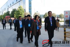 市人大常委會(huì)領(lǐng)導(dǎo)蒞臨寶潤達(dá)視察工業(yè)轉(zhuǎn)型工作