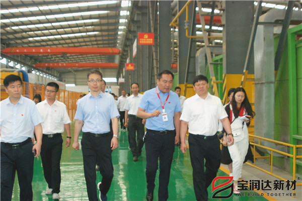 寶豐縣縣考察團蒞臨寶潤達(dá)參觀考察
